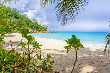 Beach of the Seychelles, Island Praslin, Beach Anse Georgette