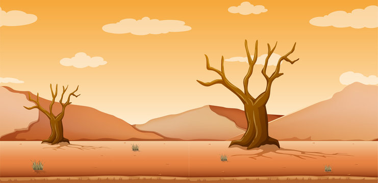 Scene with dried trees in desert field