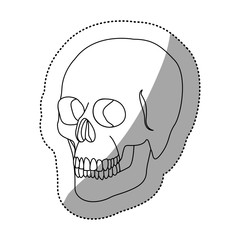 white figure skeleton of the human skull icon, vector ilustraction design