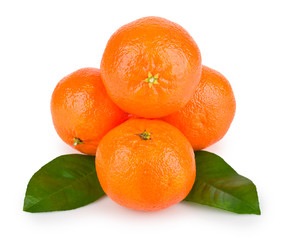 Ripe tangerines with leaves