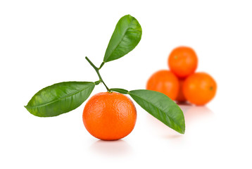 Ripe tangerines with leaves