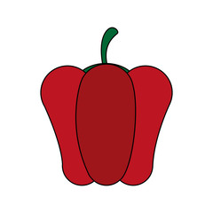 bell pepper vegetable icon image vector illustration design 