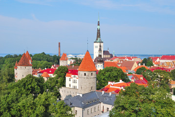 Obraz premium Tallinn Old Town
