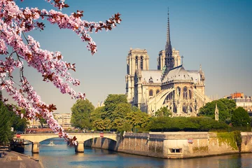 Selbstklebende Fototapeten Notre Dame de Paris im Frühling, Frankreich © sborisov