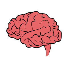 human brain icon image vector illustration design 