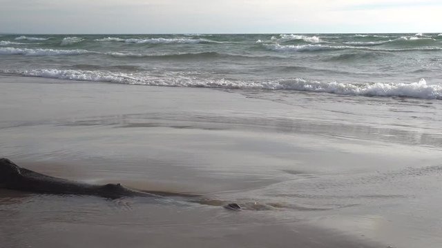 Drift wood on beach with wave and horizon in background