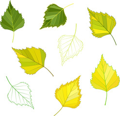colorful mosaic birch leaves. isolated. easy to modify. vector illustration.