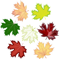 colorful mosaic maple leaves. isolated. easy to modify. vector illustration.