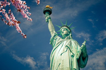 Statue of Liberty with blooming cherry on foreground, New York