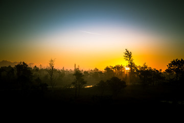 A beautiful, artistic, colorful morning landscape of a North European swamp