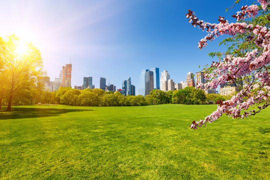 Fototapeta Central park at spring sunny day, New York City
