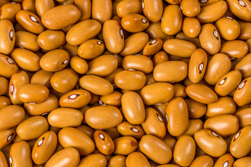 Close-up of brown beans