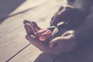 Female hands hold a tulip on a wooden table-top. Sunlight. A concept by the Mother's Day. Vintage toning.