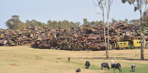Eritrea’s War of Independence Tank Graveyard  in Asmara    © robnaw