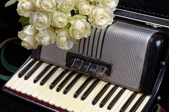 Vintage accordion and a bouquet of white roses. Concept of a nostalgic music. Still life with a traditional folk musical instrument.