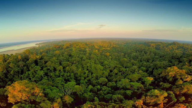 Aerial Shot of Amazon Rainforest 