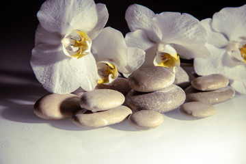 flat stones on a white glass on the background of white orchids 