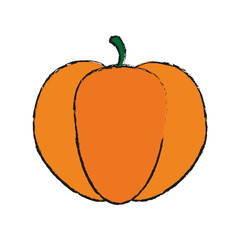 pumpkin vegetable icon over white background. vector illustration