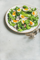 Healthy spring green salad with radish, boiled egg, arugula, green pea and mint in white plate over grey marble background, selective focus, copy space, vertical composition
