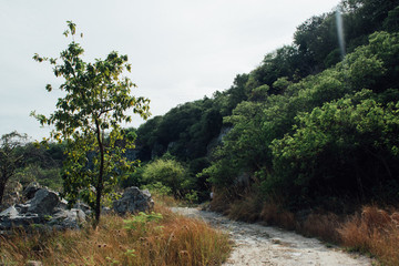 Rough arid road through the trees and mountain at Koh Sri Chang, Thailand.
