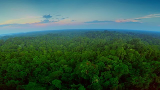 Aerial Shot of Amazon Rainforest 