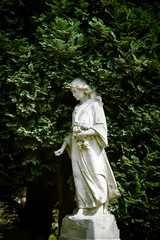 A beautiful angel statue in the London cemetery
