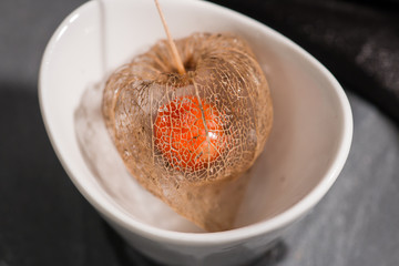 Skeleton of Bladder Cherry with Fruit inside