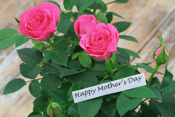 Happy Mother's day card with pink wild roses
