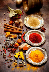 Indian Spices and herbs in silver bowls and old mortar. Food and cuisine ingredients.
