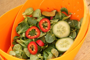Gemischter Salat in Sieb