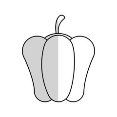 pepper vegetable icon over white background. vector illustration