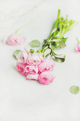 Light pink spring ranunkulus flowers on white marble background, selective focus, copy space. Spring greeting card concept