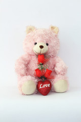 Teddy bears, pink and red roses on a white background.