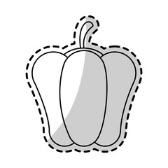 bell pepper vegetable icon image vector illustration design 