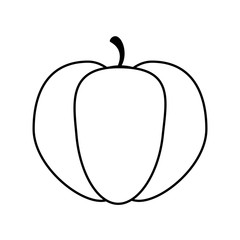 pumpkin fruit icon image vector illustration design 
