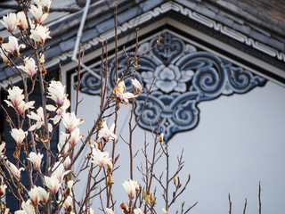 Detail of Traditional Bai Architecture in Dali Yunnan China