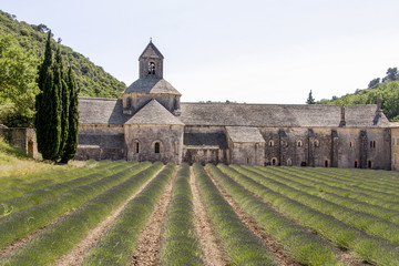 Abbey Senanque