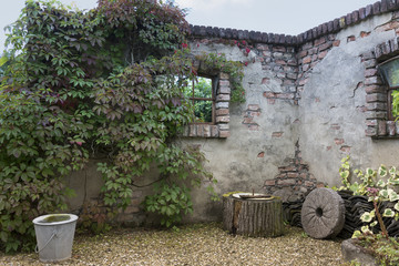 garden with old wall and flowers
