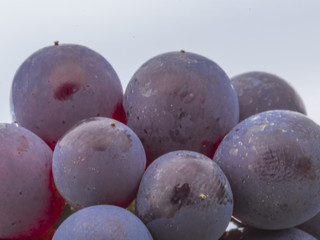 red grapes 1