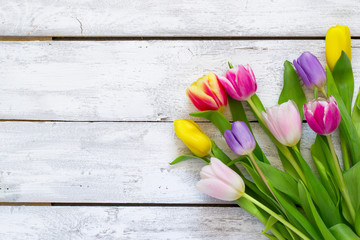White  Boards wooden background with beautiful tulip, Spring or Easter concept