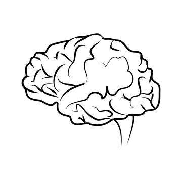 human brain icon image vector illustration design 