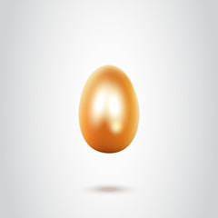 Golden egg on white background vector illustration