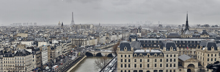Veduta di Parigi dalla Cattedrale di Notre Dame, dall'alto, Francia