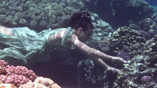 Young girl model underwater poses for camera on background of corals in Red Sea. Filming a movie. Extreme sport in marine landscape, coral reefs, ocean inhabitants.