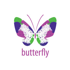 vector butterfly logo