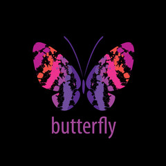 vector butterfly logo