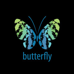 vector butterfly logo