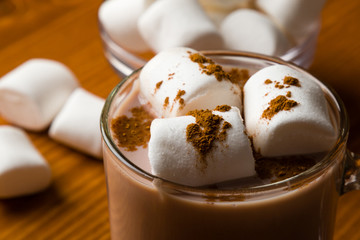hot cocoa with marshmallow