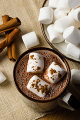hot cocoa with marshmallow