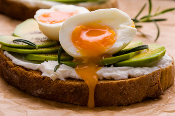 avocado and egg sandwich